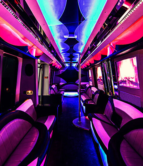 Large limo buses